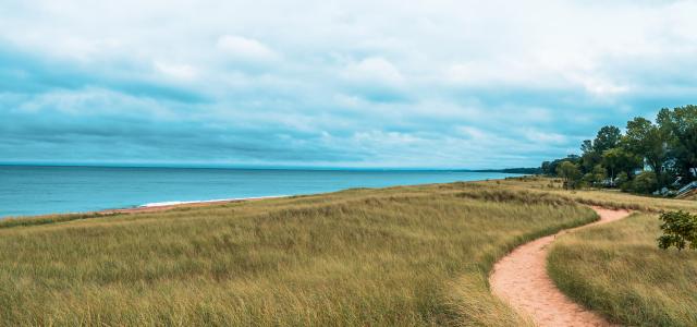 Dramatic landscape of lake michigan dunes and beach in New Buffalo Michigan